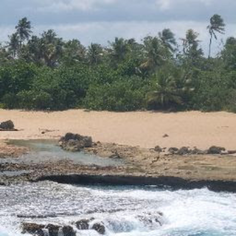 Meet your Posher, Enid